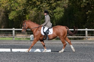 Prelim 18 / Novice 28